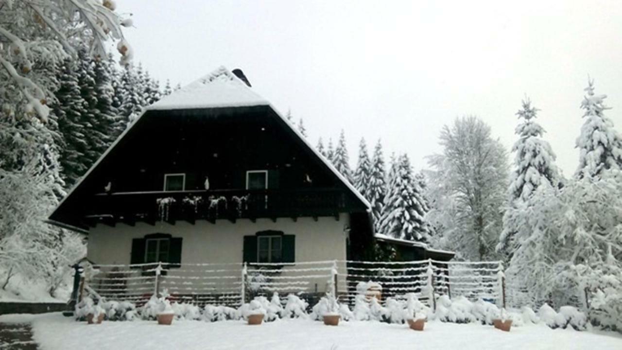 Gaestehaus Fridolin Кріглах Екстер'єр фото