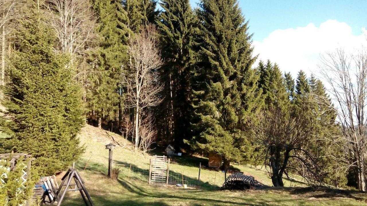 Gaestehaus Fridolin Кріглах Екстер'єр фото